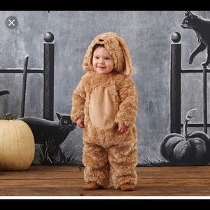 pottery barn kids Halloween costume